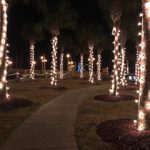 Bridge of Lions Nights of Lights