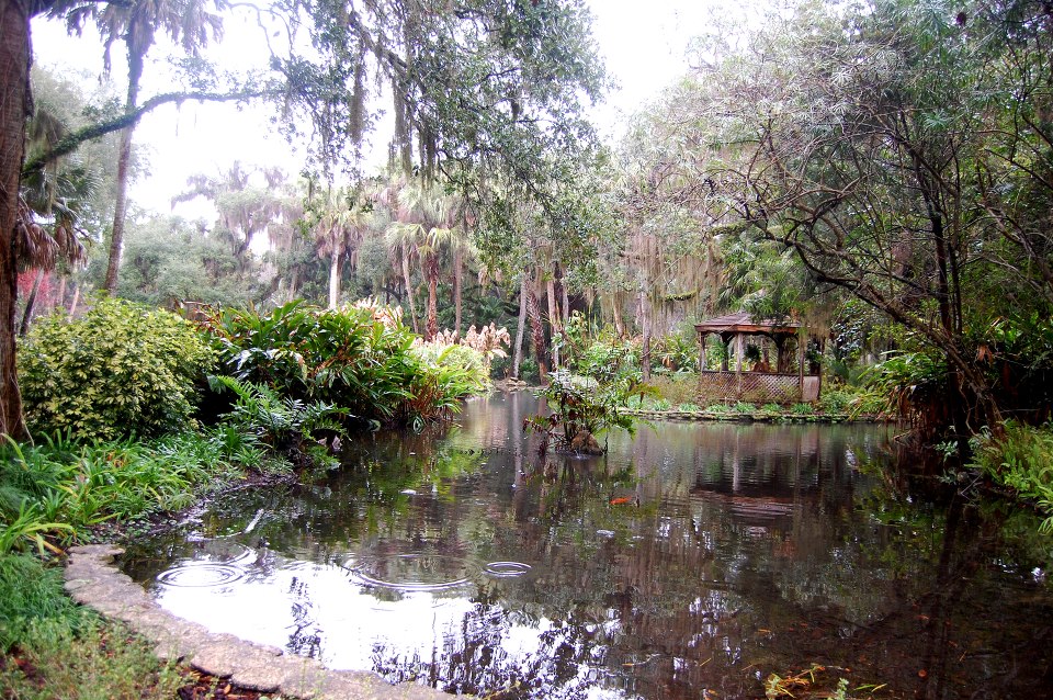 Image contains the a small pond surrounded with trees, brush, plants, and flowers.