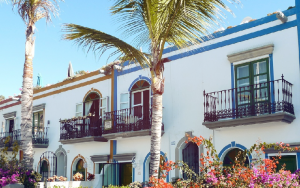 Image contains palm trees and flowers in front of a bed and breakfast.