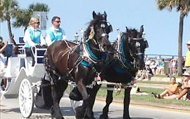 Country Carriages