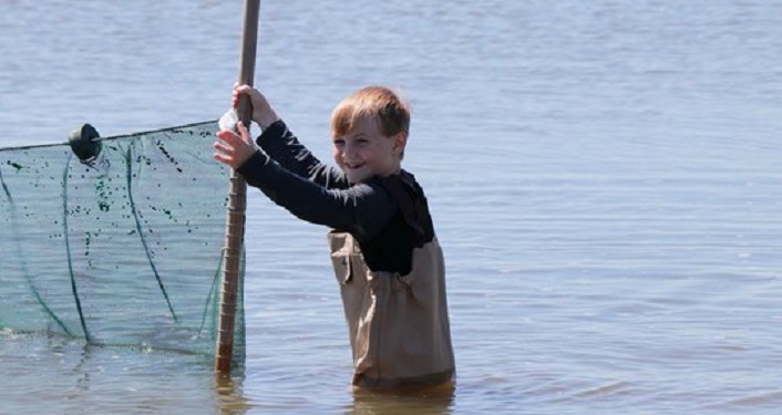 Image of young boy pulling seining net during Family Seining