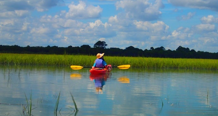 Image of a kayak on a creek, person's back to the camera on a Fort Mose Kayak Trip