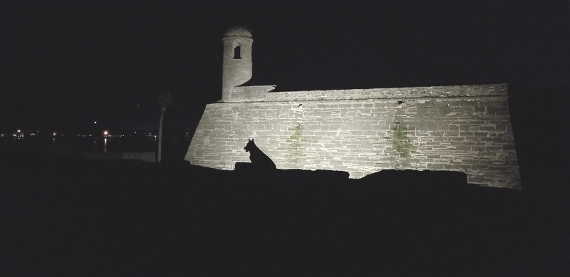 The Castillo de San Marcos in St. Augustine, Florida at night.