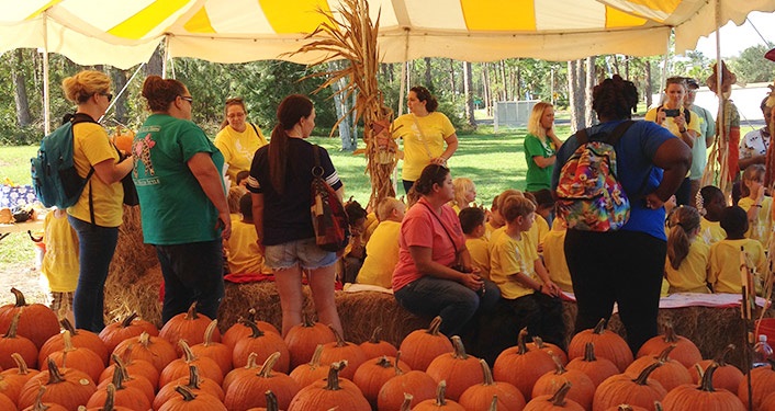 Come to the Pumpkin Patch at Shores UMC for your choice of pumpkins.