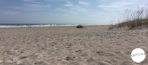 Image contains the beach, sand, and ocean.