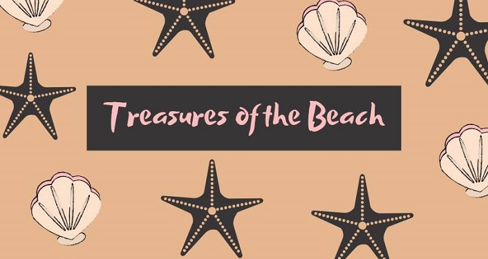 text "Treasures of the Beach" framed by starfish and shells