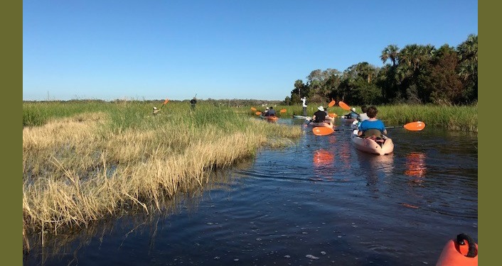 Kayakers going through the marsh on Guided Kayak Exploration
