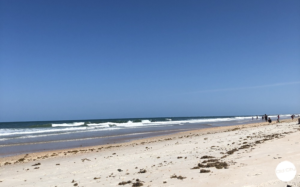 Image is of the beach and shows sand, ocean, seaweed, and a sky with no clouds.