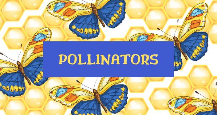 Learn About Pollinators
