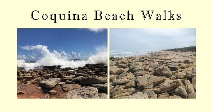 two images of the coquina rocks on the beach at Washington Oaks with text Coquina Beach Walks