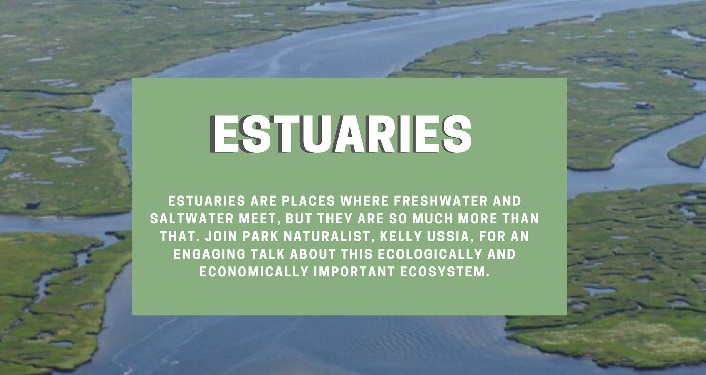 photo of esturary with text over it; Estuaries ~ An Educational Talk
