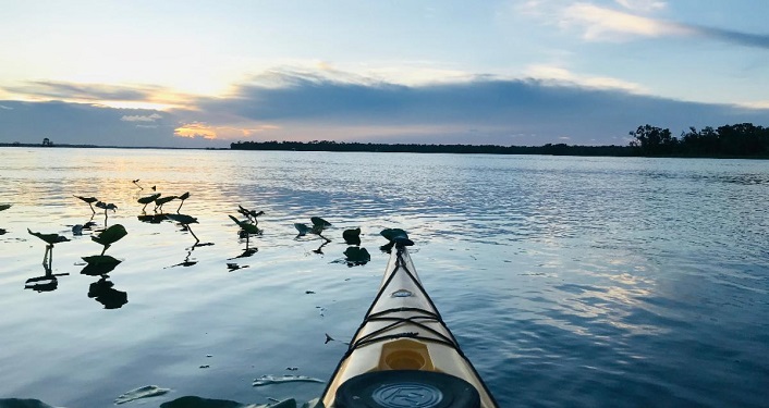 view of front of kayak, birds on water, sunset in distance during Hallowes Cove Sunset Kayak Trips