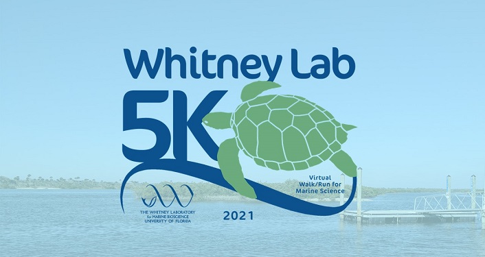 Whitney Lab Virtual 5K