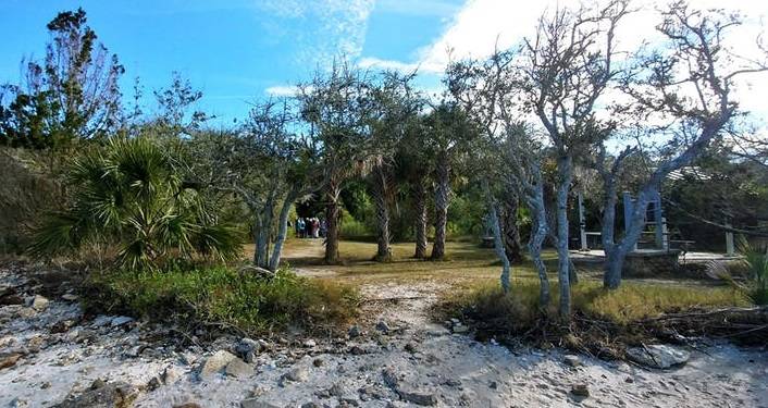 Marineland River-to-Sea Trail Walk