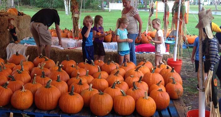 Pumpkin Patch