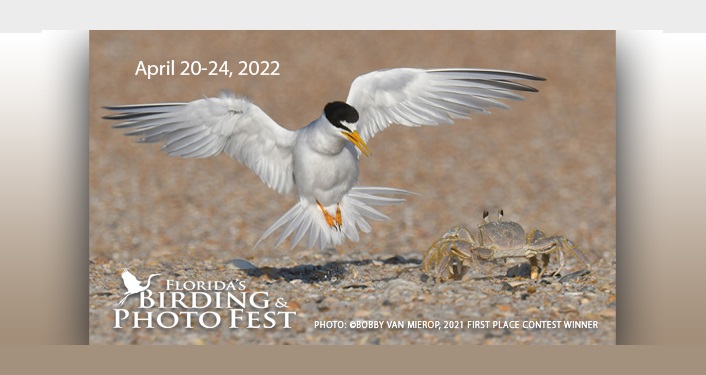 Florida's Birding & Photo Fest 2022