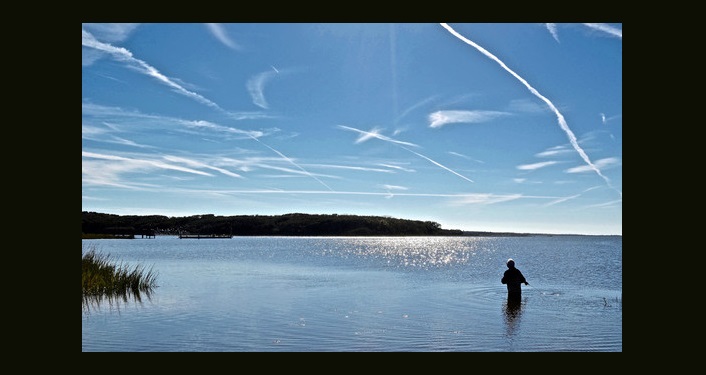 Resilience on Our Rivers