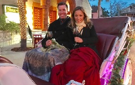 Nights of Lights Wine & Carriage Rides
