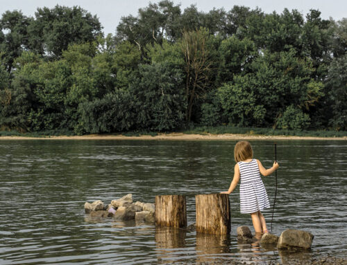 Lullaby of the Rivers Festival