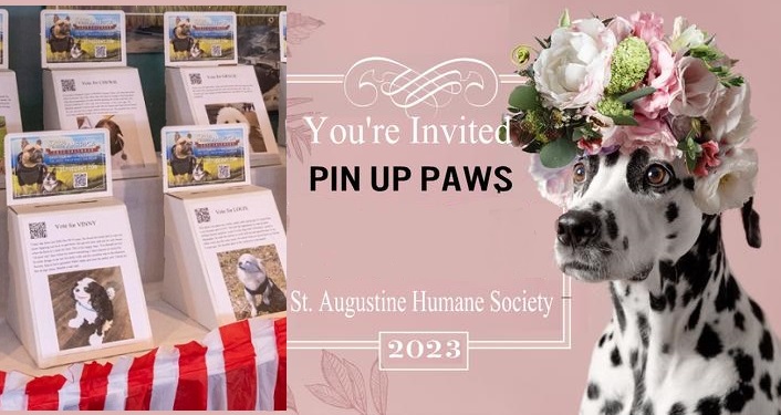 2023 Pin Up Paws Primary Party