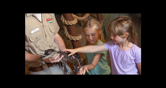 Homeschool Days at the Alligator Farm