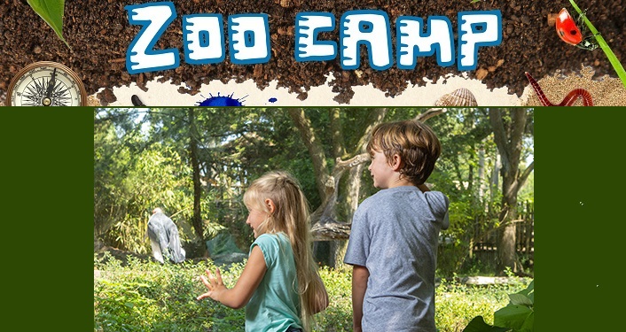 Zoo Camp at the Alligator Farm