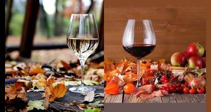 It's Fall, Y'all! (Wine Pairing Event)