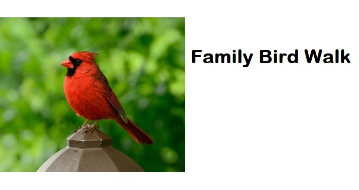 Family Bird Walk